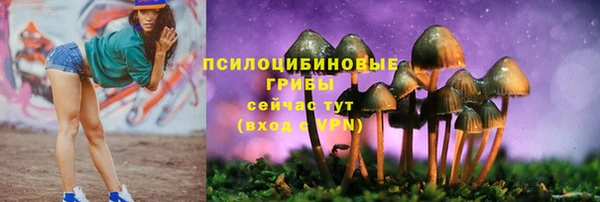 синтетический гашиш Арсеньев