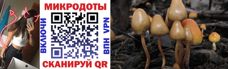наркота Сковородино Псилоцибиновые грибы мухоморы